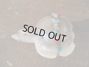 画像3: フェティッシュ  Turtle