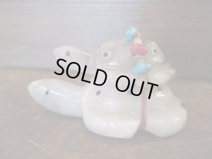 画像2: フェティッシュ  Turtle