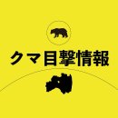 画像: 熊さん