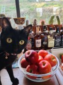 画像: りんご🍎