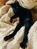 画像: 雨の日曜日