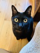 画像: お休みありがとうございました