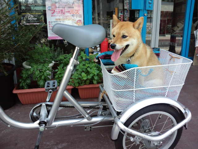 画像: 夏バテしないように