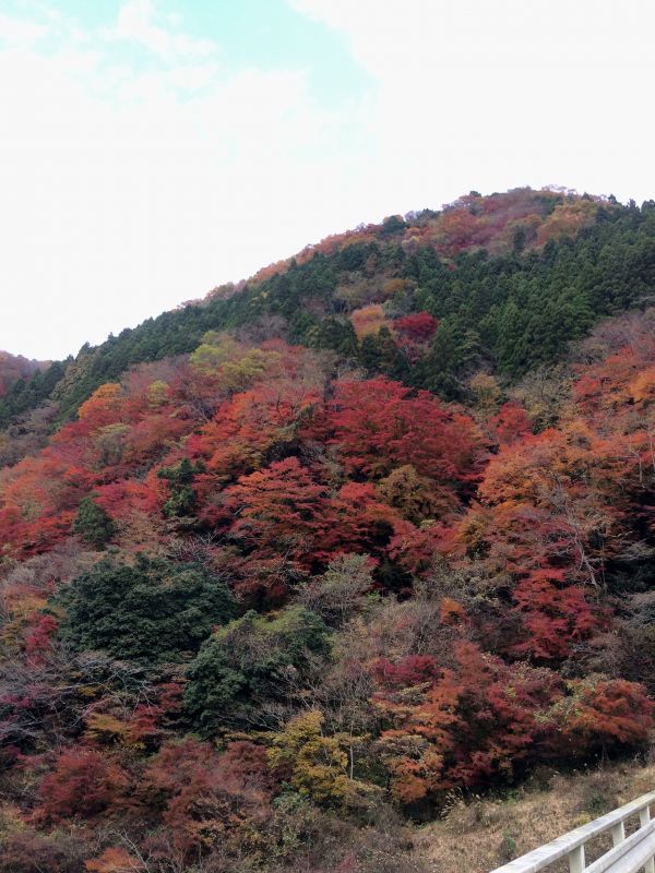 画像: お休みありがとうございました😊