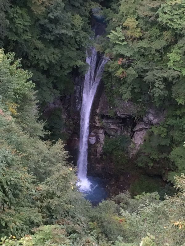 画像: 本日より19時closedです(^-^)