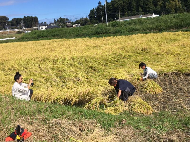 画像: 一週間前の今日