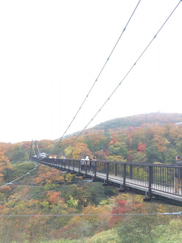 画像: 紅葉を探しに🍁