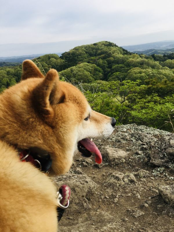 画像: 穏やかな毎日