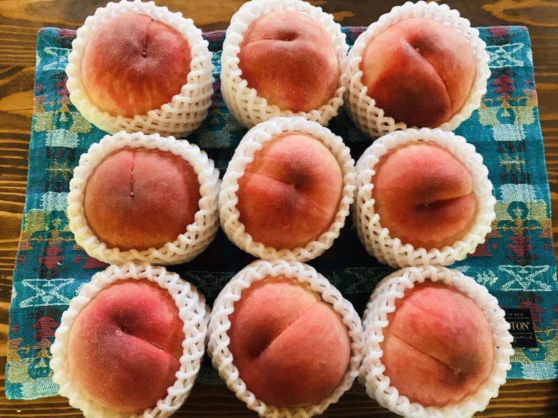 画像: ピッチピチのピーチ🍑