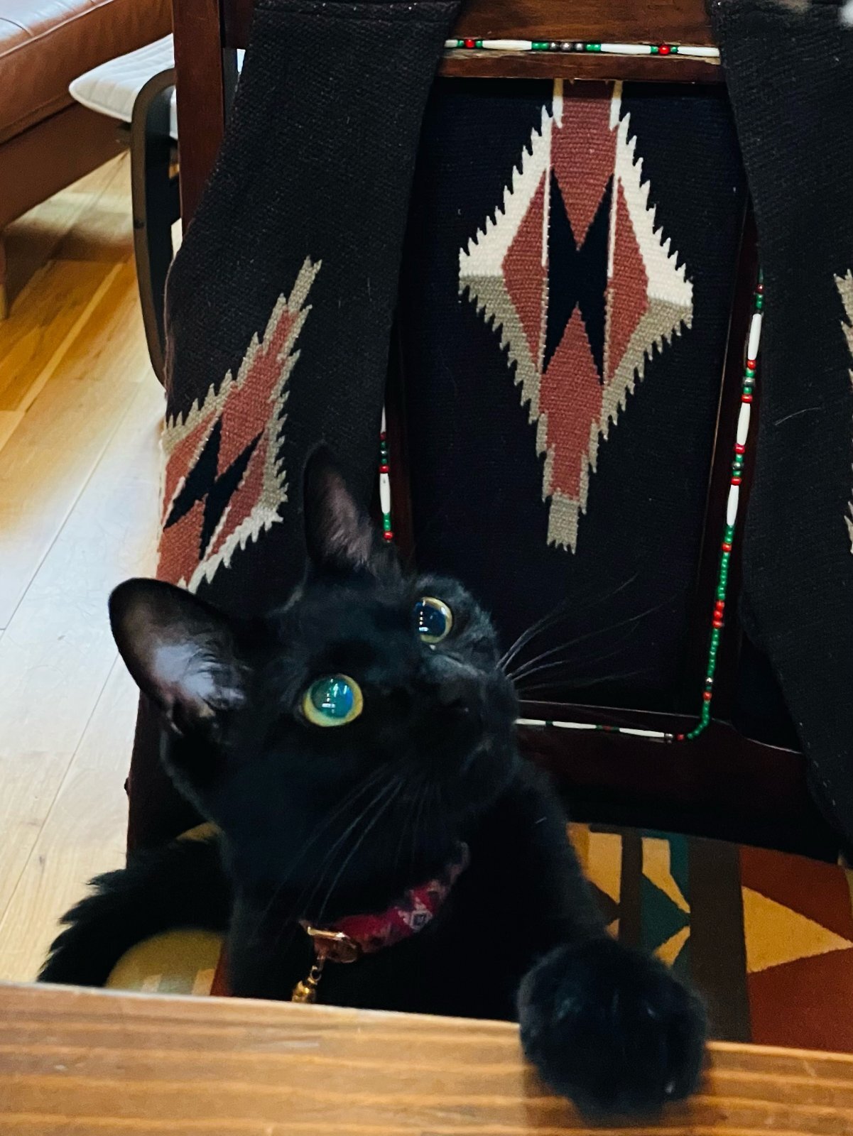 画像: 明日から3連休