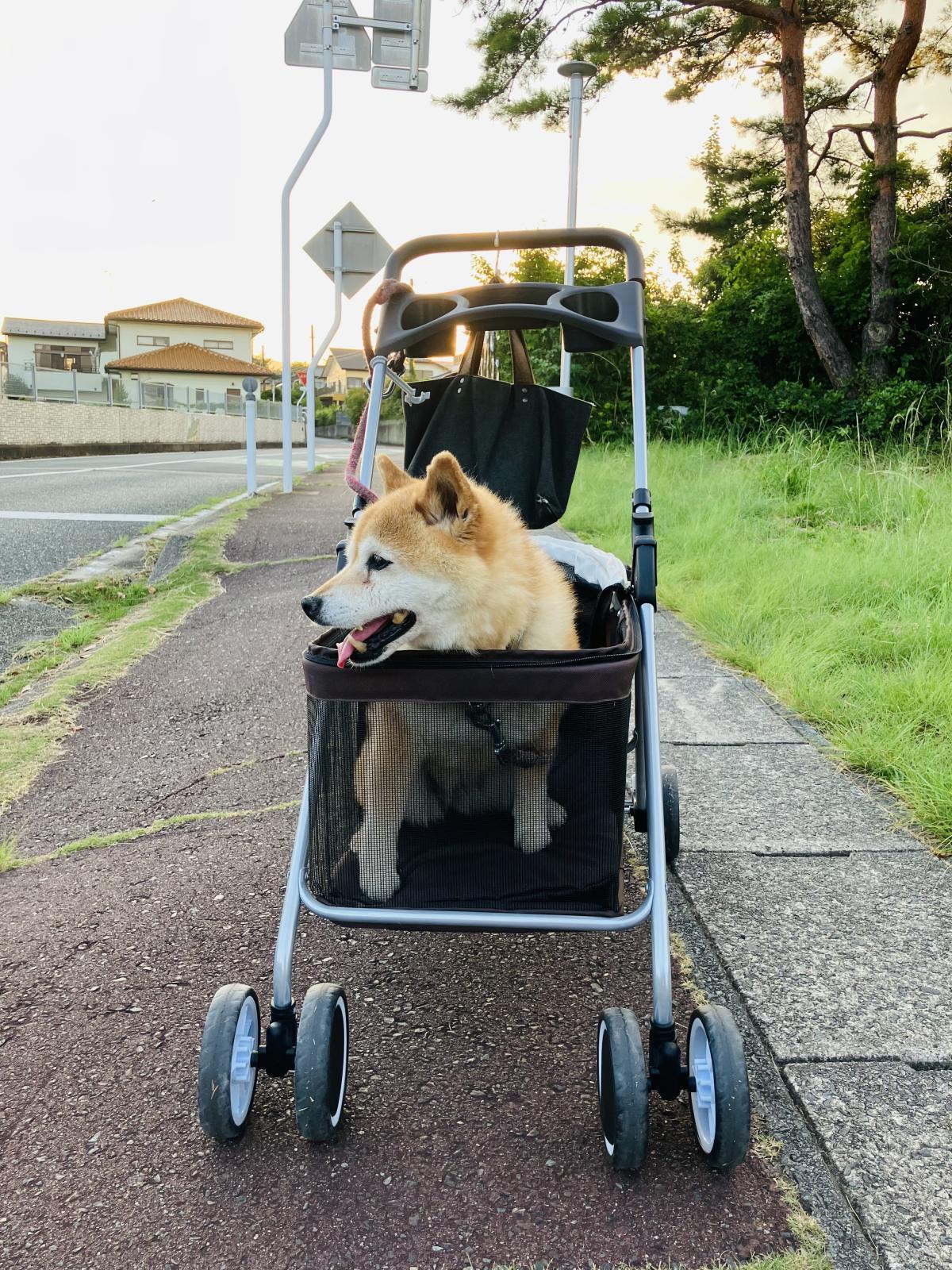 画像: お休みありがとうございました