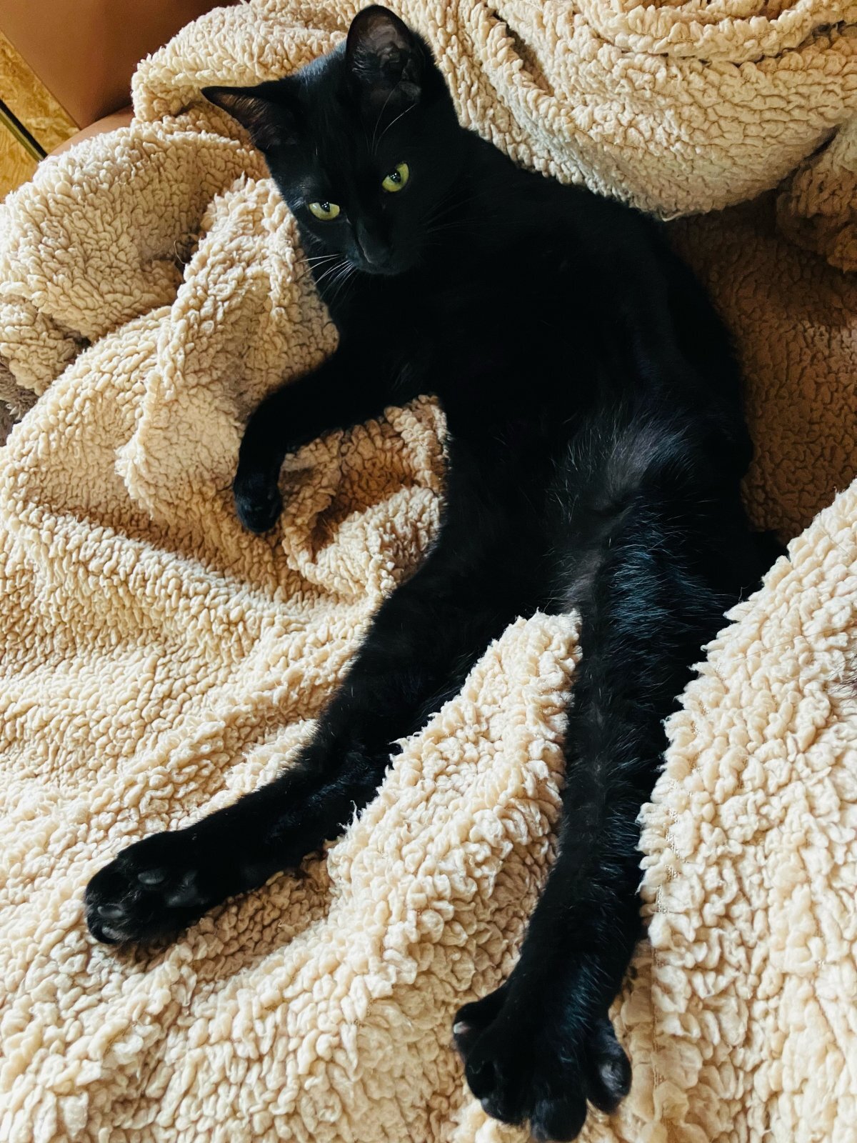 画像: 雨の日曜日