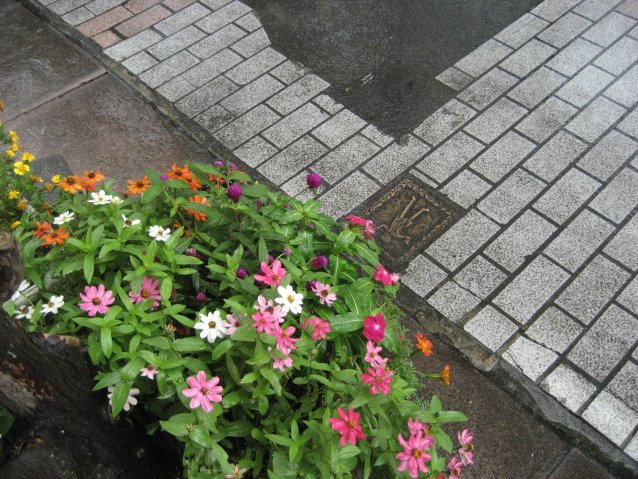 画像: 秋の雨