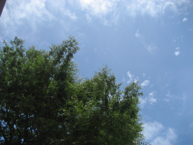 画像: 梅雨の合間の青空