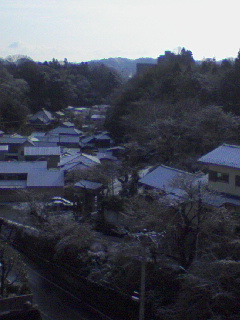 画像: 雪が降った！